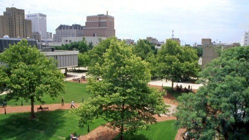 treetops of Samuels Plaza